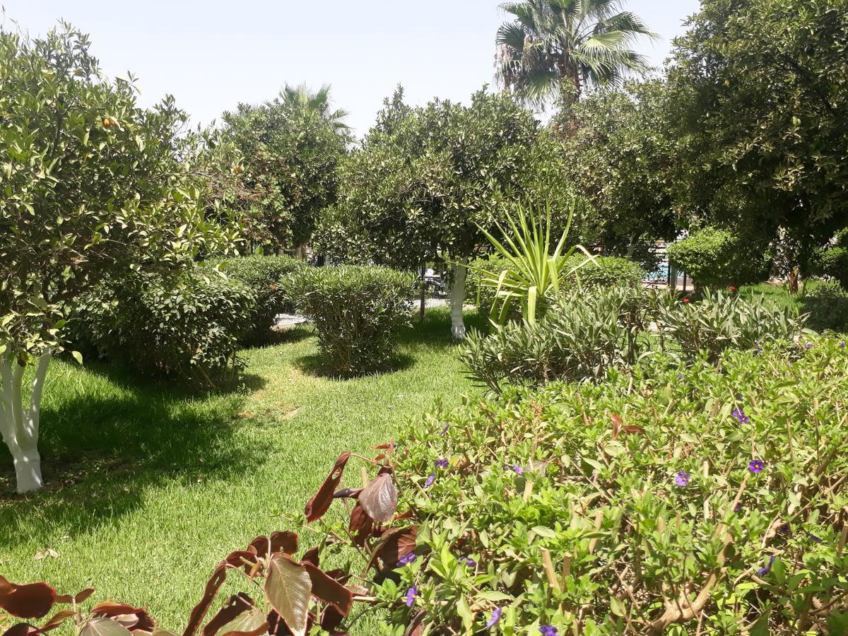 Almounia & Hotel